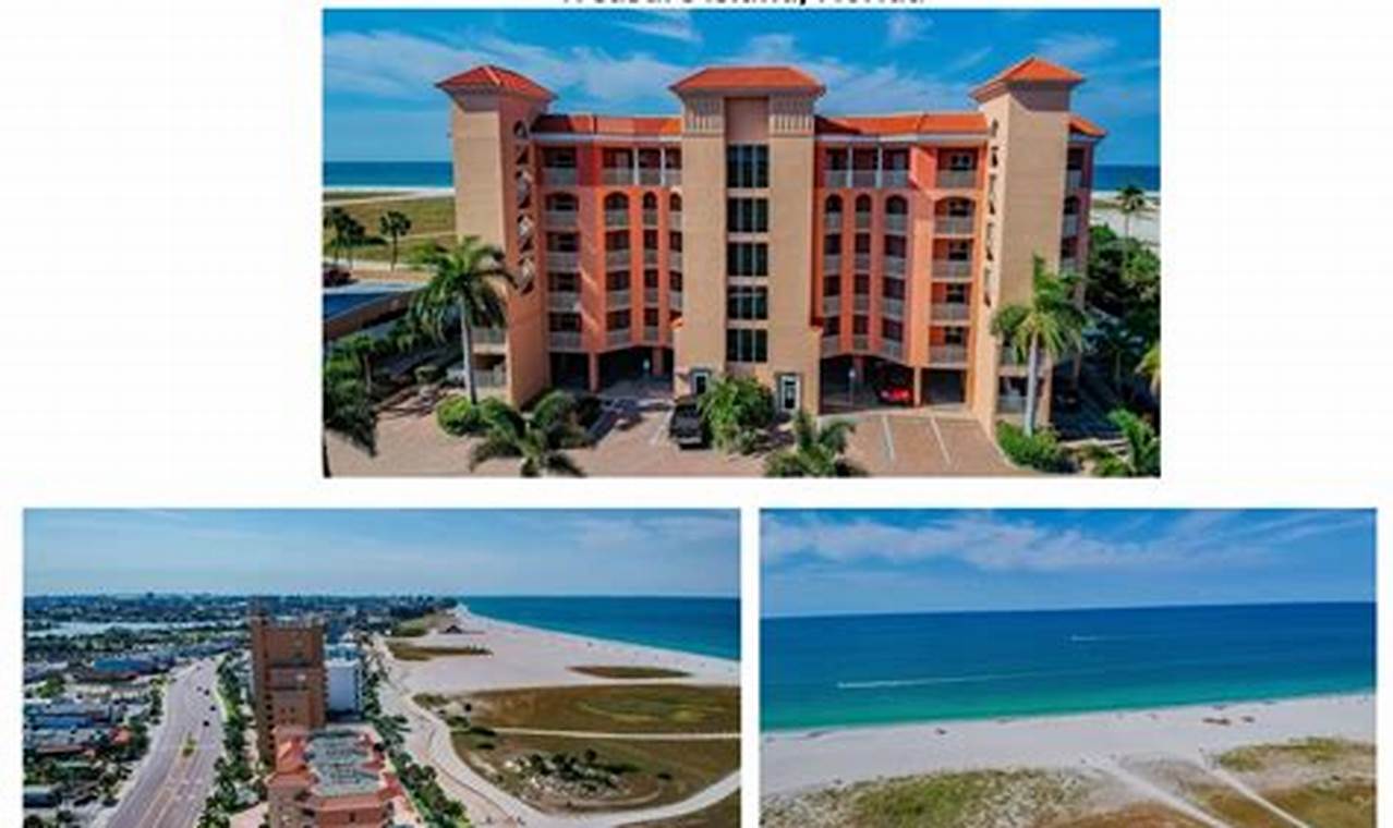 Find Your Surf Beach Resort in Florida Paradise! | Learn to Surf & Skate: A Beginner's Step-by-Step Guide