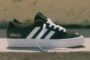 Best Adidas Skater Shoes: Styles & Reviews 2024 | Learn to Surf & Skate: A Beginner's Step-by-Step Guide