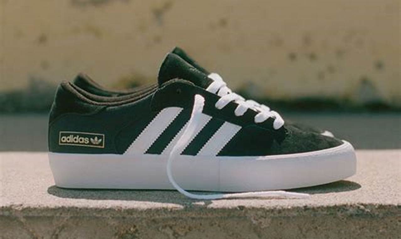 Best Adidas Skater Shoes: Styles & Reviews 2024 | Learn to Surf & Skate: A Beginner's Step-by-Step Guide