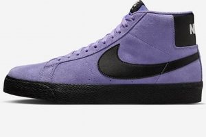Best Nike SB Zoom Blazer Mid Skate Shoes: Performance & Style | Learn to Surf & Skate: A Beginner's Step-by-Step Guide