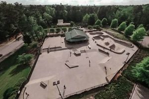 Best Skate Parks Atlanta: Locations + Guide [Year] | Learn to Surf & Skate: A Beginner's Step-by-Step Guide