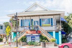 Your Guide to: Surf Shop Charleston SC Scene + More | Learn to Surf & Skate: A Beginner's Step-by-Step Guide