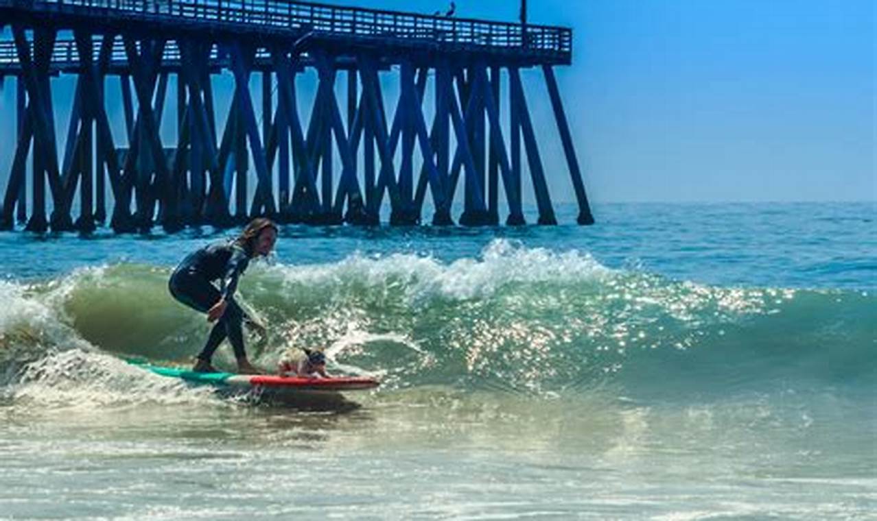 Best Socal Surf Lessons Carlsbad CA: Learn to Surf Today! | Learn to Surf & Skate: A Beginner's Step-by-Step Guide