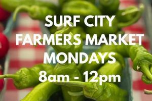 Visit Surf City NJ Farmers Market | Fresh & Local | Learn to Surf & Skate: A Beginner's Step-by-Step Guide