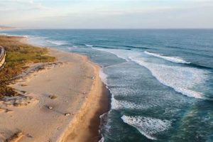 Your Trestles Beach Surf Report: [Conditions & Forecast] | Learn to Surf & Skate: A Beginner's Step-by-Step Guide