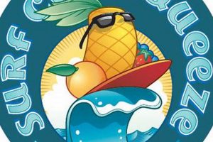 Ultimate Surf City Squeeze Guide: Tips & More | Learn to Surf & Skate: A Beginner's Step-by-Step Guide