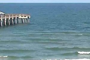 Juno Beach Surf Cam: See Live Beach Conditions Now! | Learn to Surf & Skate: A Beginner's Step-by-Step Guide