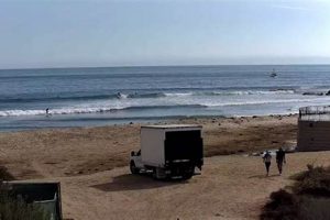 Live Surf Cams: Beach & Wave Cams Near You | Learn to Surf & Skate: A Beginner's Step-by-Step Guide
