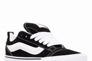 Best Skater Vans Shoes for Grip & Style: Shop Now! | Learn to Surf & Skate: A Beginner's Step-by-Step Guide