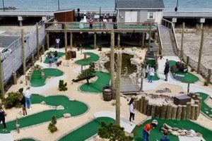 Best Surf City Mini Golf: Your Coastal Putt-Putt Fun! | Learn to Surf & Skate: A Beginner's Step-by-Step Guide
