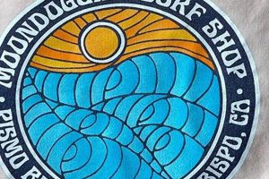 Your Local Moondoggies Surf Shop: Gear & More! | Learn to Surf & Skate: A Beginner's Step-by-Step Guide