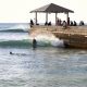 Your Waikiki Walls Surf Report: [Conditions] & Tips | Learn to Surf & Skate: A Beginner's Step-by-Step Guide