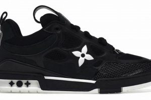 Best Louis Skate Shoes: Styles & Performance | Learn to Surf & Skate: A Beginner's Step-by-Step Guide