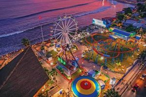 Visit Surf City USA: Your Guide to the Best Surf Spots! | Learn to Surf & Skate: A Beginner's Step-by-Step Guide