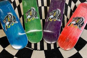 The Best Flying Panther Skate Shop Gear + More! | Learn to Surf & Skate: A Beginner's Step-by-Step Guide