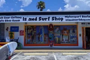 Your Guide to the Best Surf Shop Miami FL Deals | Learn to Surf & Skate: A Beginner's Step-by-Step Guide
