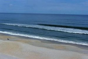 Fernandina Beach Surf Report: Your Surf Beach Guide Learn to Surf & Skate: A Beginner's Step-by-Step Guide Fernandina Beach Surf Report: Your Surf Beach Guide | Learn to Surf & Skate: A Beginner's Step-by-Step Guide