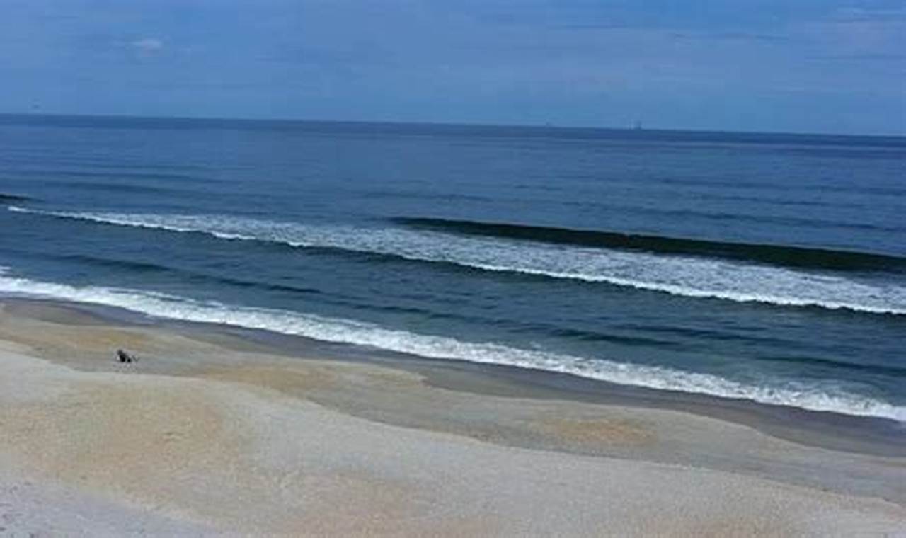 Fernandina Beach Surf Report: Your Surf Beach Guide Learn to Surf & Skate: A Beginner's Step-by-Step Guide Fernandina Beach Surf Report: Your Surf Beach Guide | Learn to Surf & Skate: A Beginner's Step-by-Step Guide