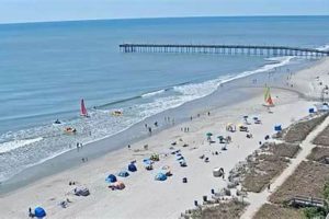 Get Your IOP Surf Report: Conditions &amp; Forecast Now! | Learn to Surf & Skate: A Beginner's Step-by-Step Guide