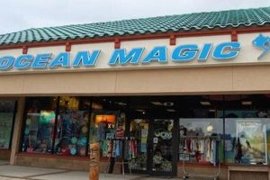Your Guide to Ocean Magic Surf Shop | [Location] Surf Shop | Learn to Surf & Skate: A Beginner's Step-by-Step Guide