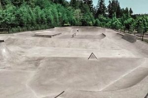Explore Sherwood Skate Park: A Skater's Paradise | Learn to Surf & Skate: A Beginner's Step-by-Step Guide