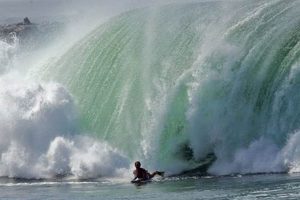 Your Newport Beach Surfing Guide: Breaks, Gear & More Learn to Surf & Skate: A Beginner's Step-by-Step Guide Your Newport Beach Surfing Guide: Breaks, Gear & More | Learn to Surf & Skate: A Beginner's Step-by-Step Guide