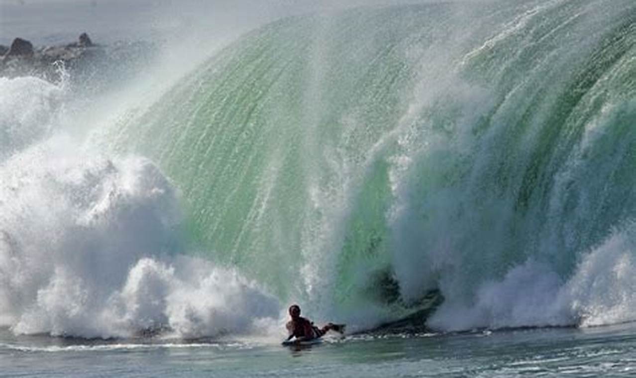 Your Newport Beach Surfing Guide: Breaks, Gear & More | Learn to Surf & Skate: A Beginner's Step-by-Step Guide