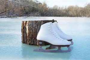 Best Good Beginner Ice Skates: Reviews & Tips | Learn to Surf & Skate: A Beginner's Step-by-Step Guide