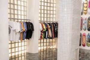 Elevate Your Ride: Plush Skate Shop Essentials | Learn to Surf & Skate: A Beginner's Step-by-Step Guide