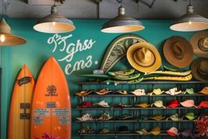 Plan Your Dream: Surf Trip Shop Adventures Await! Learn to Surf & Skate: A Beginner's Step-by-Step Guide Plan Your Dream: Surf Trip Shop Adventures Await! | Learn to Surf & Skate: A Beginner's Step-by-Step Guide