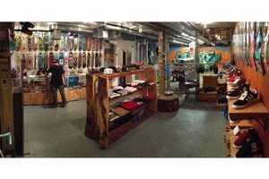 Your Guide to Brooklyn Skate Shops: Gear & Community | Learn to Surf & Skate: A Beginner's Step-by-Step Guide