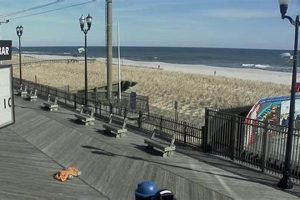 Monmouth Beach Surf Cam: Live NJ Wave Report Today Learn to Surf & Skate: A Beginner's Step-by-Step Guide Monmouth Beach Surf Cam: Live NJ Wave Report Today | Learn to Surf & Skate: A Beginner's Step-by-Step Guide