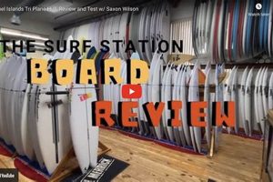 Your Local Station Surf Shop: Gear, Boards & More! | Learn to Surf & Skate: A Beginner's Step-by-Step Guide