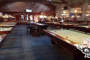 Dive into Surf City Billiards: Games & More! | Learn to Surf & Skate: A Beginner's Step-by-Step Guide