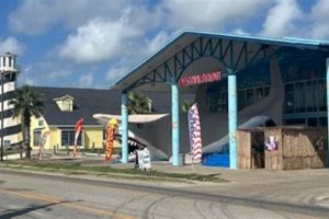 Ultimate Destination Beach & Surf Guide: Find Your Paradise! Learn to Surf & Skate: A Beginner's Step-by-Step Guide Ultimate Destination Beach & Surf Guide: Find Your Paradise! | Learn to Surf & Skate: A Beginner's Step-by-Step Guide