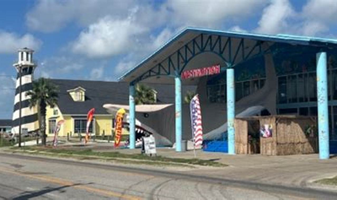 Ultimate Destination Beach & Surf Guide: Find Your Paradise! Learn to Surf & Skate: A Beginner's Step-by-Step Guide Ultimate Destination Beach & Surf Guide: Find Your Paradise! | Learn to Surf & Skate: A Beginner's Step-by-Step Guide