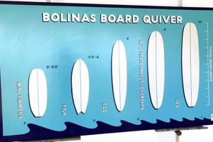 Your Bolinas Surf Report: Latest Conditions &amp; More | Learn to Surf & Skate: A Beginner's Step-by-Step Guide