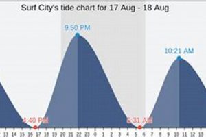Surf City NJ Tides: Your Essential Tide Chart [Updated] | Learn to Surf & Skate: A Beginner's Step-by-Step Guide
