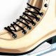 Showcase: Decorative Ice Skates - Winter's Charm | Learn to Surf & Skate: A Beginner's Step-by-Step Guide