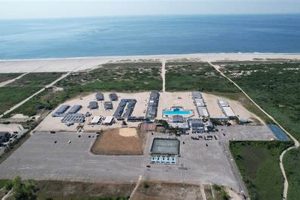 Your Breezy Surf Club: Ride the Waves With Us! Learn to Surf & Skate: A Beginner's Step-by-Step Guide Your Breezy Surf Club: Ride the Waves With Us! | Learn to Surf & Skate: A Beginner's Step-by-Step Guide