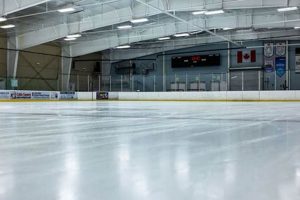 Get Your Glide On! Ice Skate Flagstaff Fun & Tips | Learn to Surf & Skate: A Beginner's Step-by-Step Guide