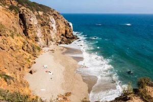 Your Zuma Beach Surf Report: Waves & Conditions | Learn to Surf & Skate: A Beginner's Step-by-Step Guide