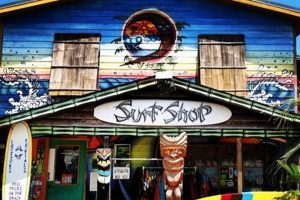 Find Your Secret Spot Surf Shop: Gear & More Learn to Surf & Skate: A Beginner's Step-by-Step Guide Find Your Secret Spot Surf Shop: Gear & More | Learn to Surf & Skate: A Beginner's Step-by-Step Guide