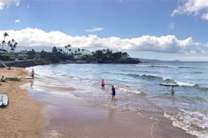 Kihei Surf Report: Today's Maui Waves + Forecast Learn to Surf & Skate: A Beginner's Step-by-Step Guide Kihei Surf Report: Today's Maui Waves + Forecast | Learn to Surf & Skate: A Beginner's Step-by-Step Guide