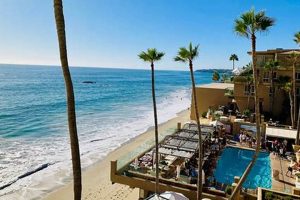 Surf & Sand Laguna Beach Reviews: Tips & Insights | Learn to Surf & Skate: A Beginner's Step-by-Step Guide