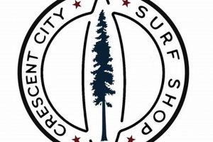 Gear Up at Crescent City Surf Shop: Your Coastal Source! | Learn to Surf & Skate: A Beginner's Step-by-Step Guide