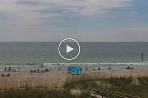 Ocean Isle Surf Cam: Live Beach Views + Surf Report Learn to Surf & Skate: A Beginner's Step-by-Step Guide Ocean Isle Surf Cam: Live Beach Views + Surf Report | Learn to Surf & Skate: A Beginner's Step-by-Step Guide