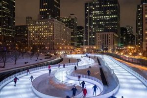 Chicago Ice Skate | Learn to Surf & Skate: A Beginner's Step-by-Step Guide