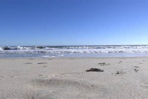 Your Guide to Weather at Surf City NC Forecasts Learn to Surf & Skate: A Beginner's Step-by-Step Guide Your Guide to Weather at Surf City NC Forecasts | Learn to Surf & Skate: A Beginner's Step-by-Step Guide