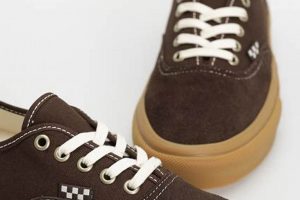 Best Vans Skate Authentic Shoes: Style & Performance | Learn to Surf & Skate: A Beginner's Step-by-Step Guide